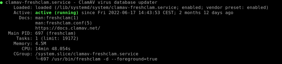debian-clamav-db-update-service.png